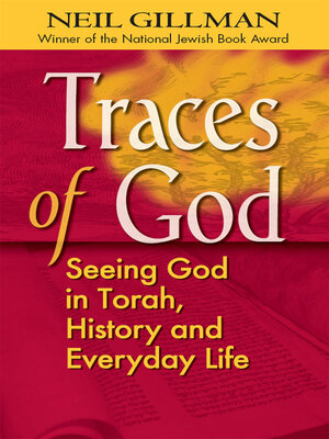 cover image of Traces of God
